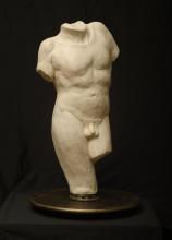 Male Torso