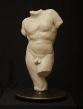 Male Torso